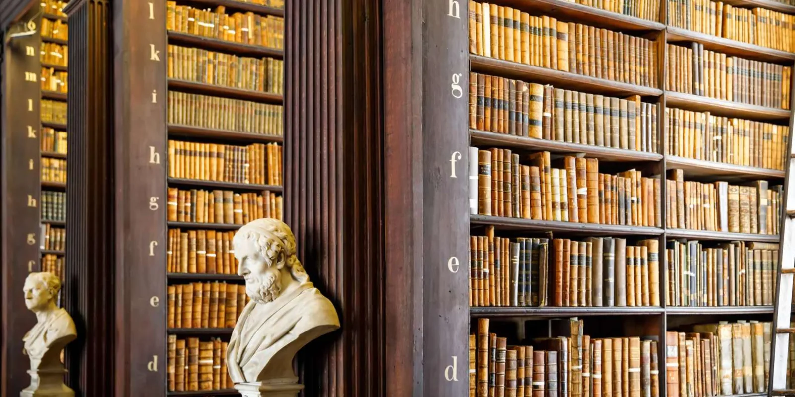 Dublin: Skip-the-line Book of Kells & Old Town Private Tour